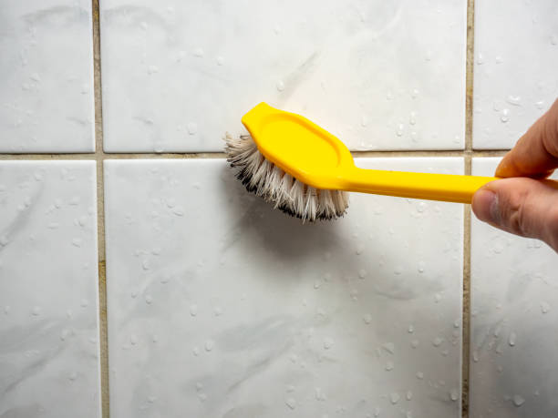 Home Mold Removal in Westport, IN