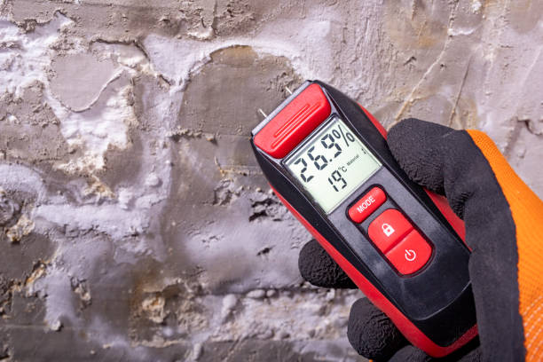 Best Mold Damage Repair  in Westport, IN