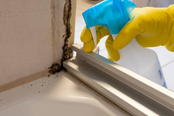 Best Mold Cleaning Services  in Westport, IN