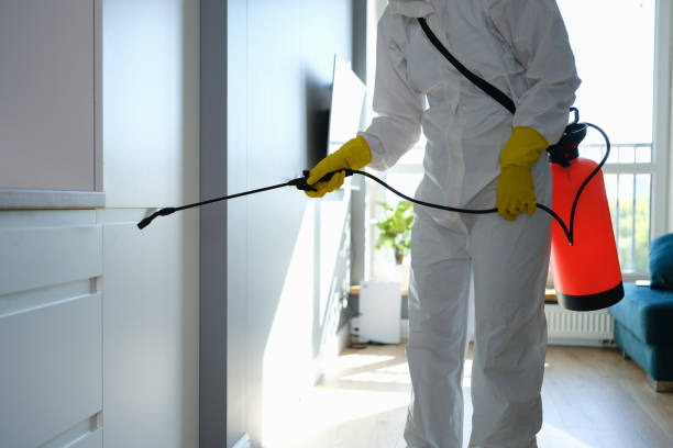Best Commercial Mold Removal  in Westport, IN