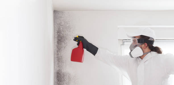 Best Crawl Space Mold Removal  in Westport, IN