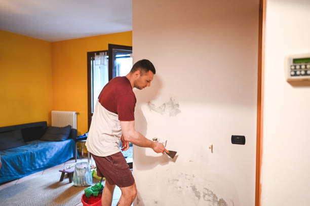 Best Home Mold Removal  in Westport, IN
